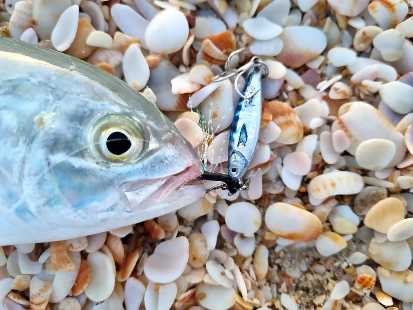 WEIHAI FSTK Metal Bait Sea Fishing Lures Jig Shore 10g15g20g30g Off Shore Jig Spoon Slow Jig Casting Jig Spoon Artificial Bait