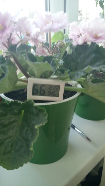 Mini Digital Humidity Meter Thermometer Hygrometer Sensor Gauge LCD Temperature Refrigerator Aquarium Monitoring Display Indoor