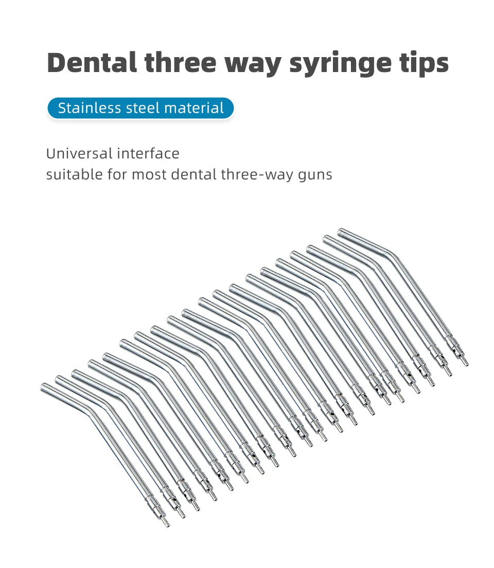 10pcs Dental 3 Way Syringe Tips Air Water Spray Triple Syringe for 3 Way Tube Stainless Steel Syringe Spray Nozzles Tips