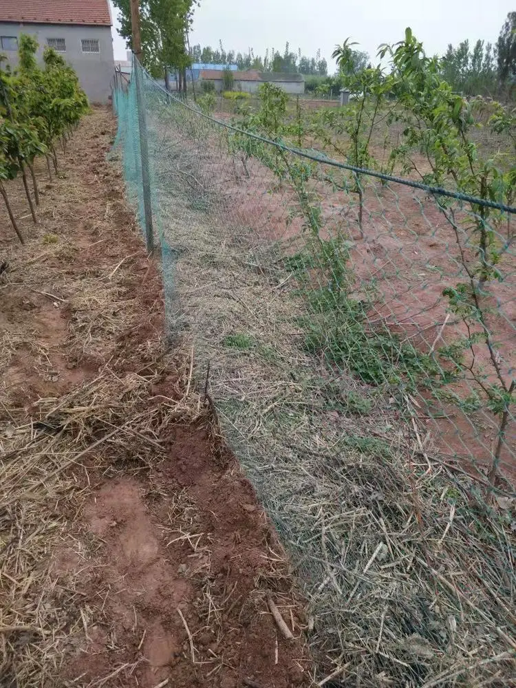 Heavy Anti Bird Netting Net Garden Fence and Crops Protective Fencing Mesh Anti Bird Deer Cat Dog Chicken Net Fishing Net