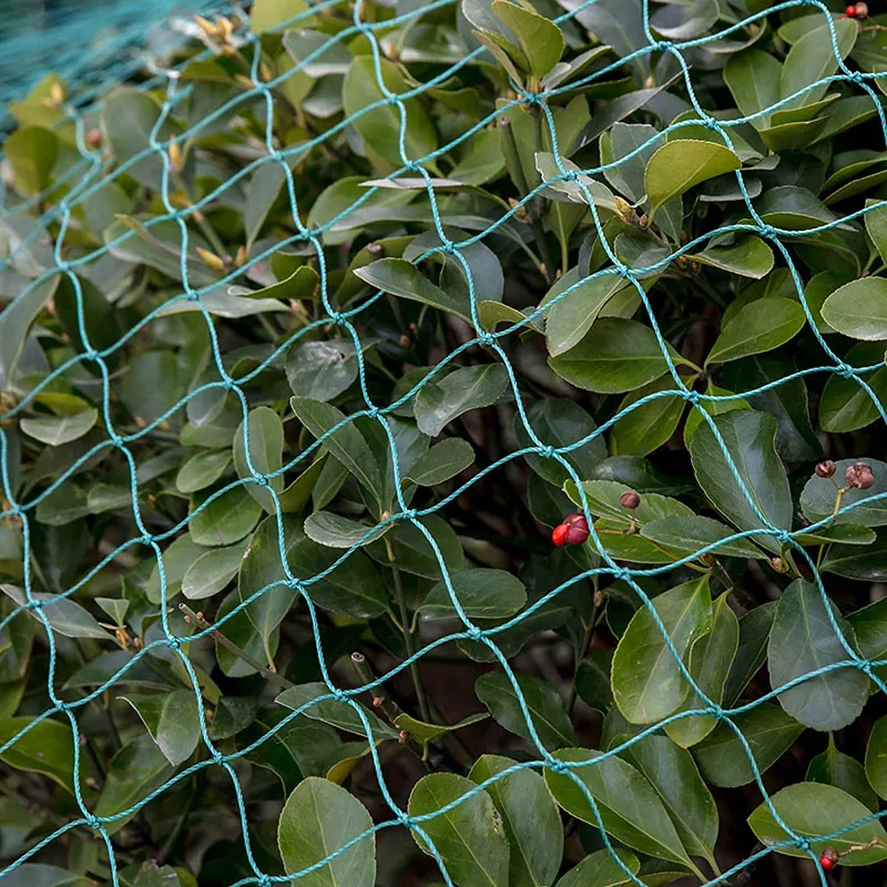 Heavy Anti Bird Netting Net Garden Fence and Crops Protective Fencing Mesh Anti Bird Deer Cat Dog Chicken Net Fishing Net