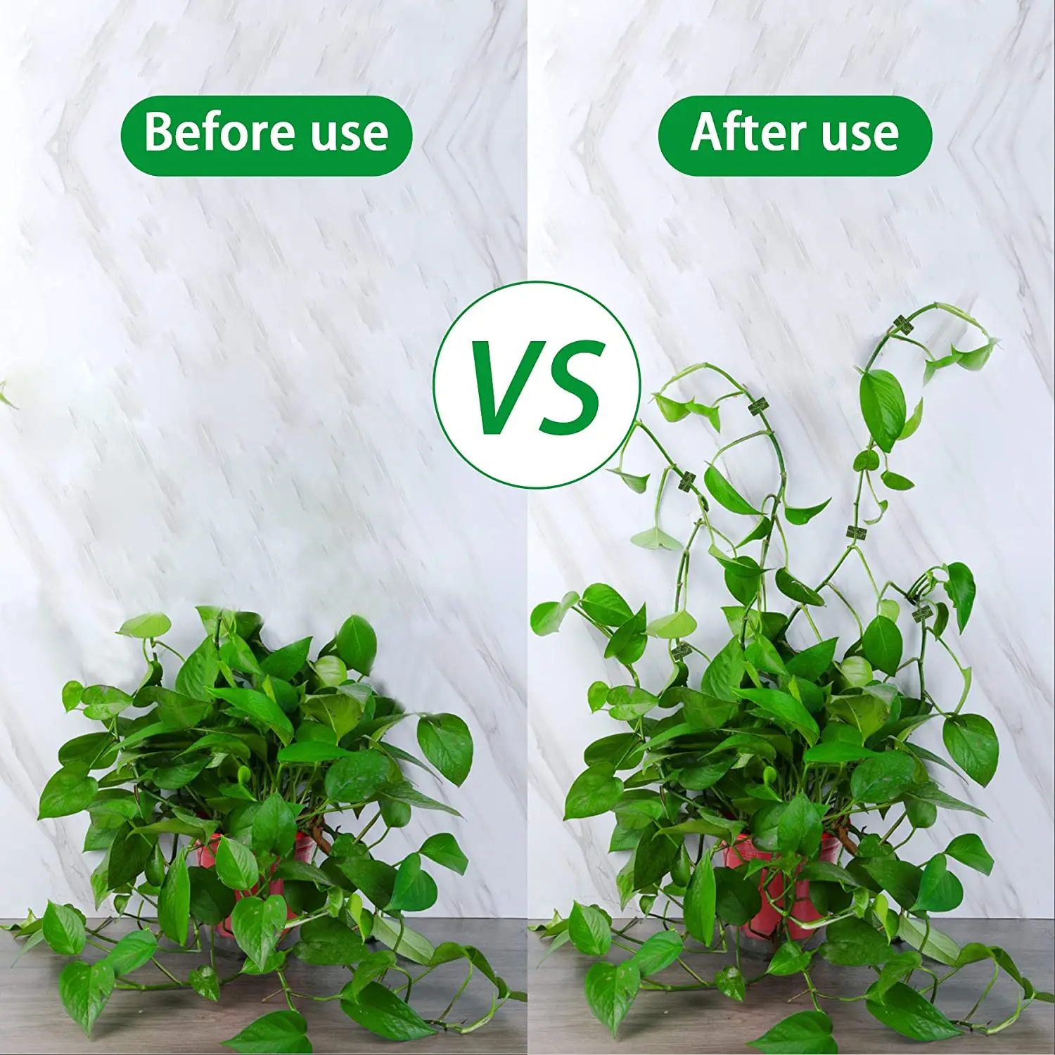 10/30/50pcs/Bag Plant Vine Climbing Clip Invisible Wall Self-adhesive Fixator Garden Plant Vine Climbing Fixed Support