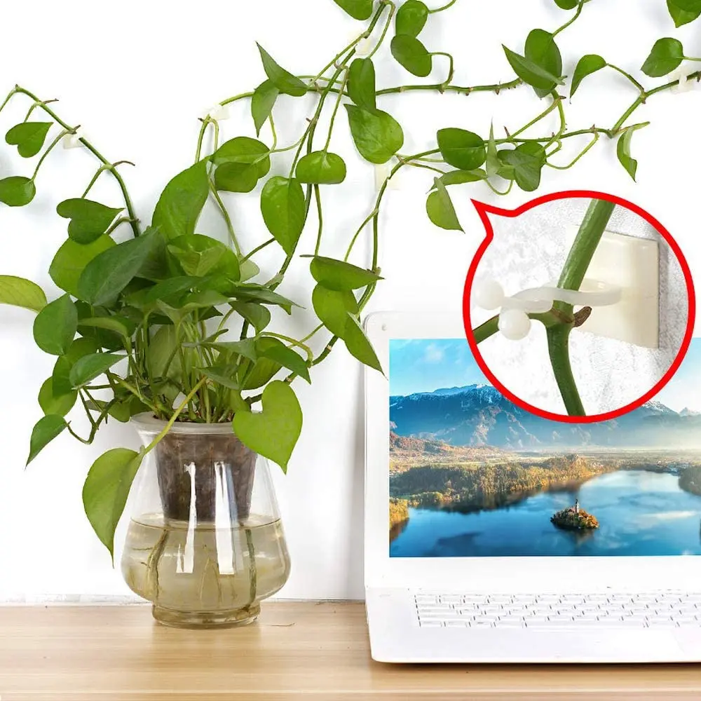 10/30/50pcs/Bag Plant Vine Climbing Clip Invisible Wall Self-adhesive Fixator Garden Plant Vine Climbing Fixed Support