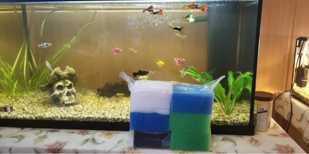 Home 1 Set Compatible Aquarium Filter for Juwel Compact / Bioflow 3.0 (2 x Fine, 1 x Coarse, 1 x Nitrate, 2 x Carbons, 5 x Poly)