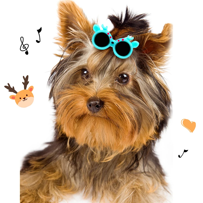 10 Pieces Plastic Pet Hair Clips Sunglasses Shape Hairpin For Small Dog 10 Colors Cute Heart Shape Dog Grooming Hair Accessories