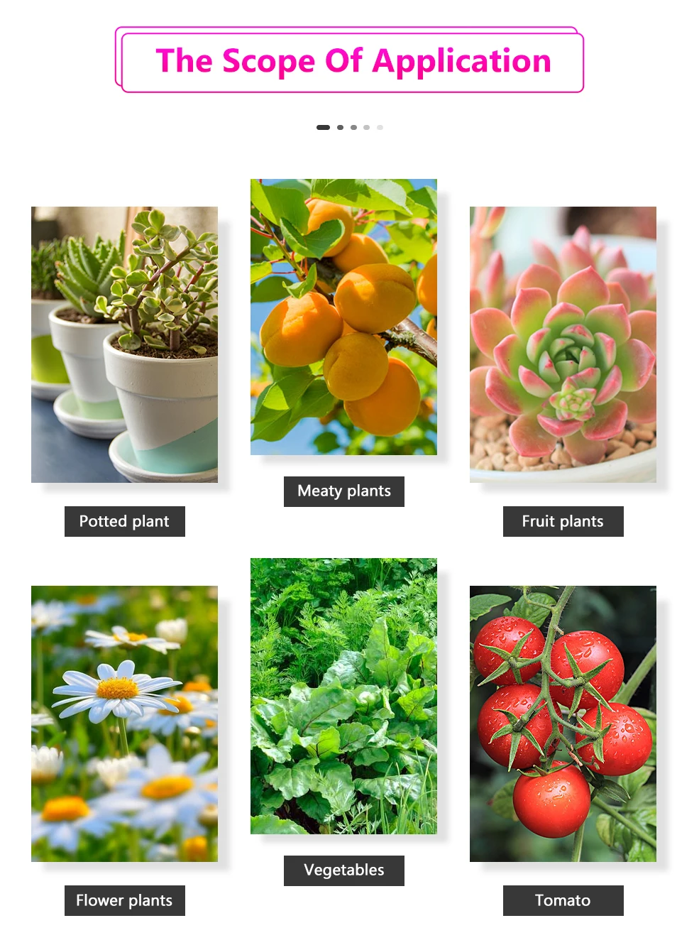 Full Spectrum LED Grow Light USB Grow Light Strip 0.5m 1m 2m 3m 4m 5m 2835 SMD LED Phyto Tape for Seed Plant Flower Greenhouse