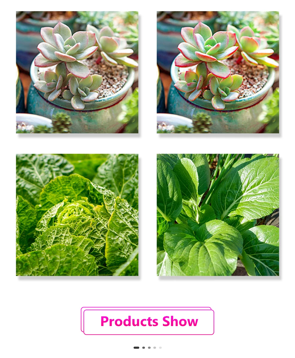 Full Spectrum LED Grow Light USB Grow Light Strip 0.5m 1m 2m 3m 4m 5m 2835 SMD LED Phyto Tape for Seed Plant Flower Greenhouse