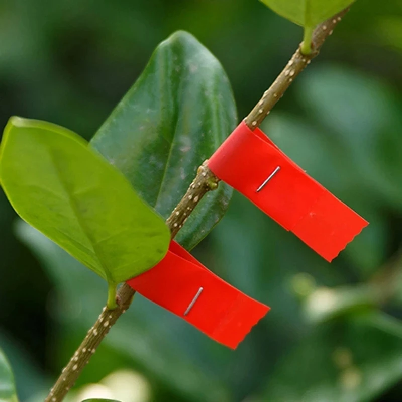 Onnfang 10pcs Garden tape tool Trunk Connect Stem Hand tying Stake Fruit Tree Link bind belt Tie Tape Tools