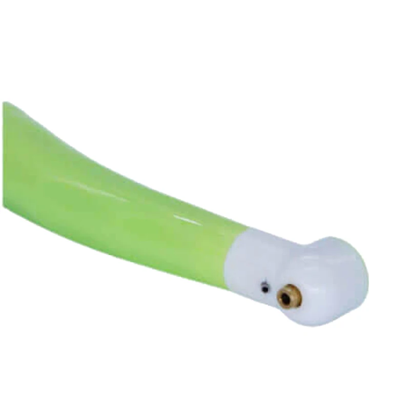 Dental Disposible High Speed Handpiece For Individual Patient 2 4 Holes Dentist Instrument Dentistry Therapy Dental Tools