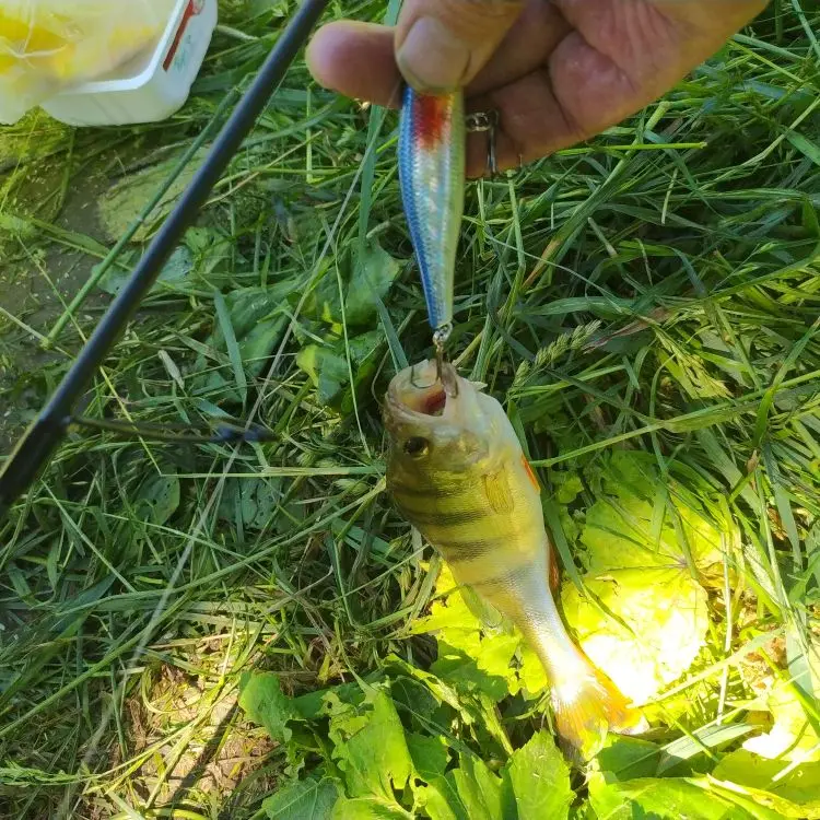 1PCS Minnow Fishing Lure Artificial Hard Bait Bionic 3D Eyes 8.8cm 9g Floating Wobbler Crankbait Bass Trolling Fishing Tackle